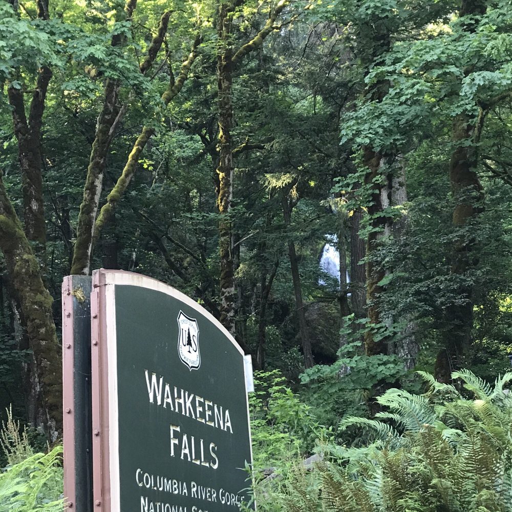 Wahkeena Falls - Parks Near Me - Troutdale, Oregon Wahkeena Falls - Parks Near Me - Troutdale, Oregon