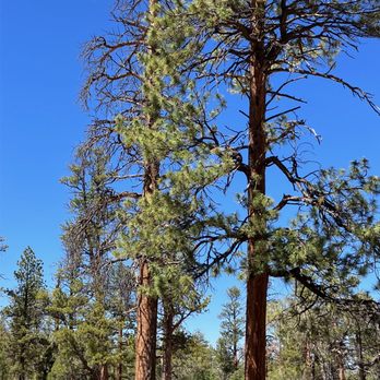 National Park Express - Virgin River Gorge - July 1, 2023. - Tours Near Me - Las Vegas, Nevada National Park Express - Virgin River Gorge - July 1, 2023. - Tours Near Me - Las Vegas, Nevada