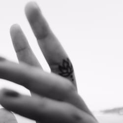 Lotus flower