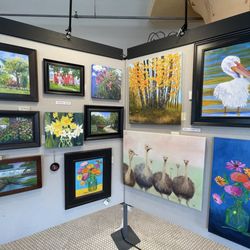 Local Color Art Gallery & Studio - Paintings