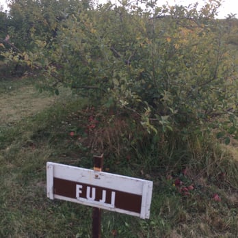 Stuckey Farm Orchard and Cider Mill - Signs let you know what you're picking! - Farmers Market Near Me - Sheridan, Indiana