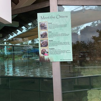 Otter Outlook - Amusement Parks Near Me - San Diego, California Otter Outlook - Amusement Parks Near Me - San Diego, California