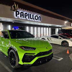 Papillon