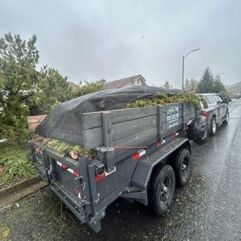 Reno Junk Pros - Tree trimmings - Junk Removal & Hauling Near Me
