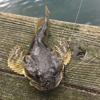 West Beach Resort - Caught a fish! - Venues & Event Spaces Near Me - Eastsound, Washington West Beach Resort - Caught a fish! - Venues & Event Spaces Near Me - Eastsound, Washington