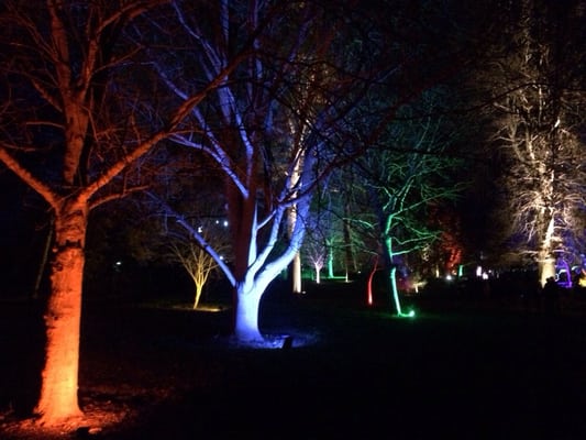Syon Park by null