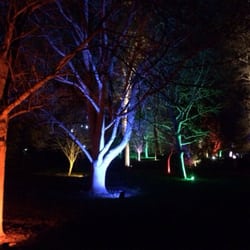 Syon Park - Magical woodland