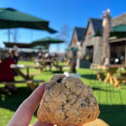 Haymarket River Road - Blueberry scone out back