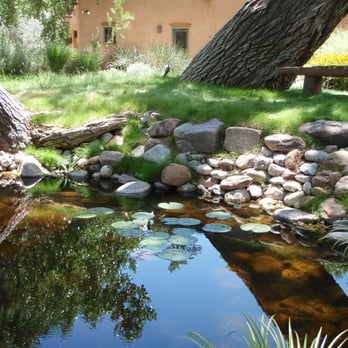Bosque Natural - a pond with rocks and trees - Irrigation Near Me - Santa Fe, New Mexico Bosque Natural - a pond with rocks and trees - Irrigation Near Me - Santa Fe, New Mexico