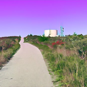 Sweeney Ridge - Sweeney Ridge Trail - Parks Near Me - San Bruno, California