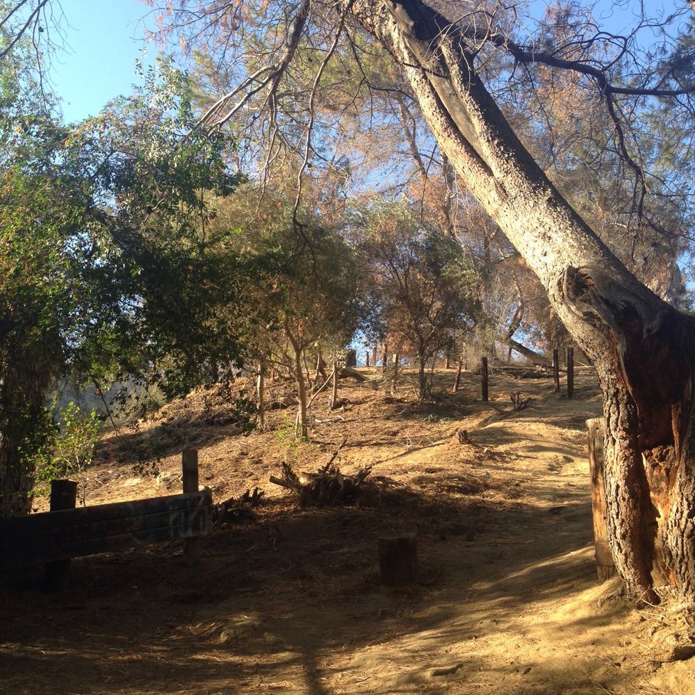 Brand Park - The trails - Parks Near Me - Glendale, California