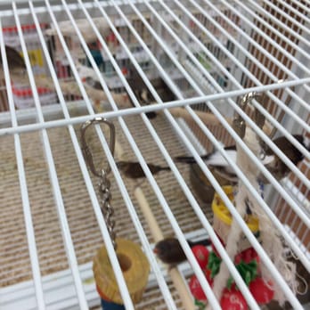 Pet Supermarket - Pet Stores Near Me - Hialeah, Florida Pet Supermarket - Pet Stores Near Me - Hialeah, Florida
