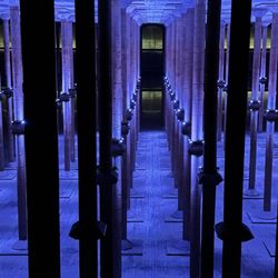 Reflection in the Cistern