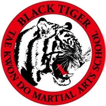 Black Tiger Tae Kwon Do - Taekwondo Near Me - San Ramon, California