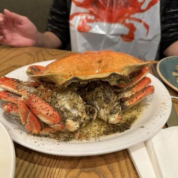 Thanh Long - Roast Crab - Seafood Near Me - San Francisco, California Thanh Long - Roast Crab - Seafood Near Me - San Francisco, California