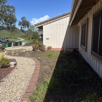 OC Tree Experts - Tree Services Near Me OC Tree Experts - Tree Services Near Me