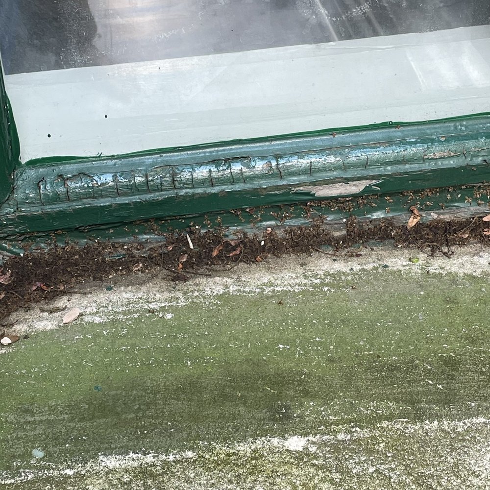 Window Repair Group - Before repairs - wood was very soft to the touch and showed water damage - Windows Installation Near Me - Des Plaines, Illinois Window Repair Group - Before repairs - wood was very soft to the touch and showed water damage - Windows Installation Near Me - Des Plaines, Illinois