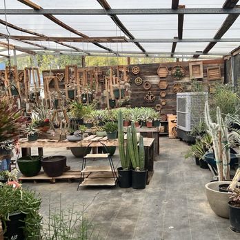 Kileen's Succulent Vertical Gardens  - Art Classes Near Me - Clovis, California