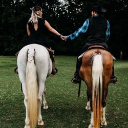 Bridlewood Stables