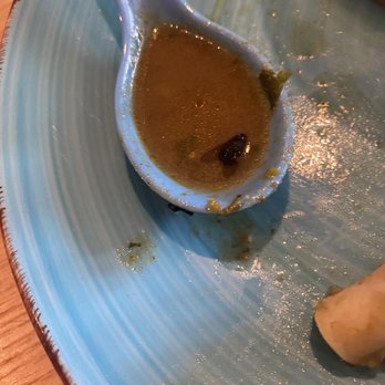 Deccan Spice - Goat Paya Soup - Indian Near Me - Jersey City, New Jersey Deccan Spice - Goat Paya Soup - Indian Near Me - Jersey City, New Jersey