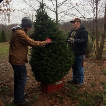 Lost Forty Tree Farm - Nurseries & Gardening Near Me - Greenfield, Indiana