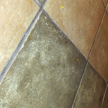 Golden Corral Buffet & Grill - Food on the wall in the bathroom. The entire bathroom was messy, 3 of the open stalls has urine/feces in the toilets. - Buffets Near Me - Albuquerque, New Mexico Golden Corral Buffet & Grill - Food on the wall in the bathroom. The entire bathroom was messy, 3 of the open stalls has urine/feces in the toilets. - Buffets Near Me - Albuquerque, New Mexico