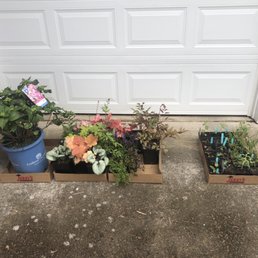 Left: $288 at Johnson brothers (no coupons or discounts), right: $290 from on online retailer after a 20% coupon code