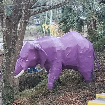 Trackside the Putting Place - Elephant goes with the jungle theme. There are an ape and giraffe too! - Arcades Near Me - Mobile, Alabama Trackside the Putting Place - Elephant goes with the jungle theme. There are an ape and giraffe too! - Arcades Near Me - Mobile, Alabama