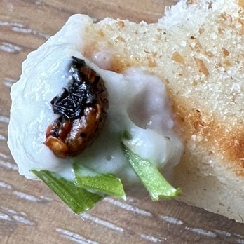 Taverna Tony - Bug in food! - Greek Near Me - Malibu, California