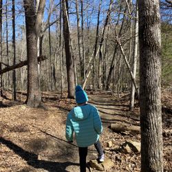 MTS Loop Trail