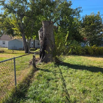 Mullins Tree Service - Tree Services Near Me - Wayne, Michigan