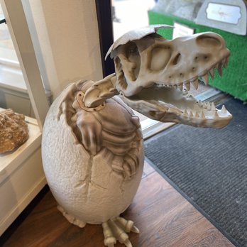 Prehistoric - Museums Near Me - Lincoln City, Oregon Prehistoric - Museums Near Me - Lincoln City, Oregon