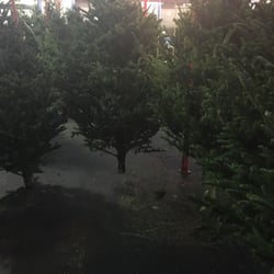 Parkway Produce - Trees errywhere.
