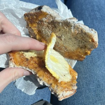 Bloomington Bagel Company - "Bacon egg and cheese on a blueberry bagel" - Bagels Near Me - Bloomington, Indiana