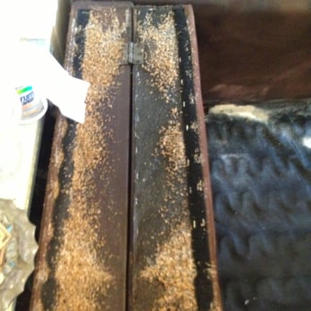 Beyond Pest Control - Pest Control Near Me - Astoria, New York