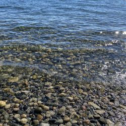 Georgia Beach - Very clear water