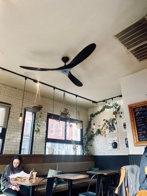Gotham Bagels - Lakeview by null