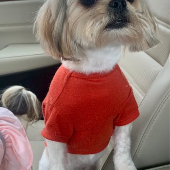 VIP Grooming - Pet Groomers Near Me - Syracuse, Utah VIP Grooming - Pet Groomers Near Me - Syracuse, Utah