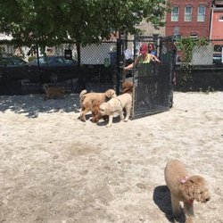 Canton Dog Park