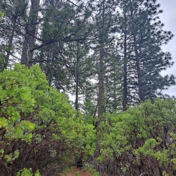 Malakoff Diggins State Historic Park - Trail - Parks Near Me - Nevada City, California Malakoff Diggins State Historic Park - Trail - Parks Near Me - Nevada City, California