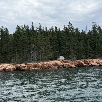 Island Cruises - Glacial deposit of gray granite. - Boating Near Me - Bass Harbor, Maine
