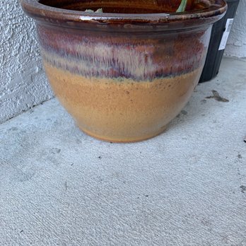 Ollie's Bargain Outlet - Medium planter. - Discount Store Near Me - Lakeland, Florida Ollie's Bargain Outlet - Medium planter. - Discount Store Near Me - Lakeland, Florida