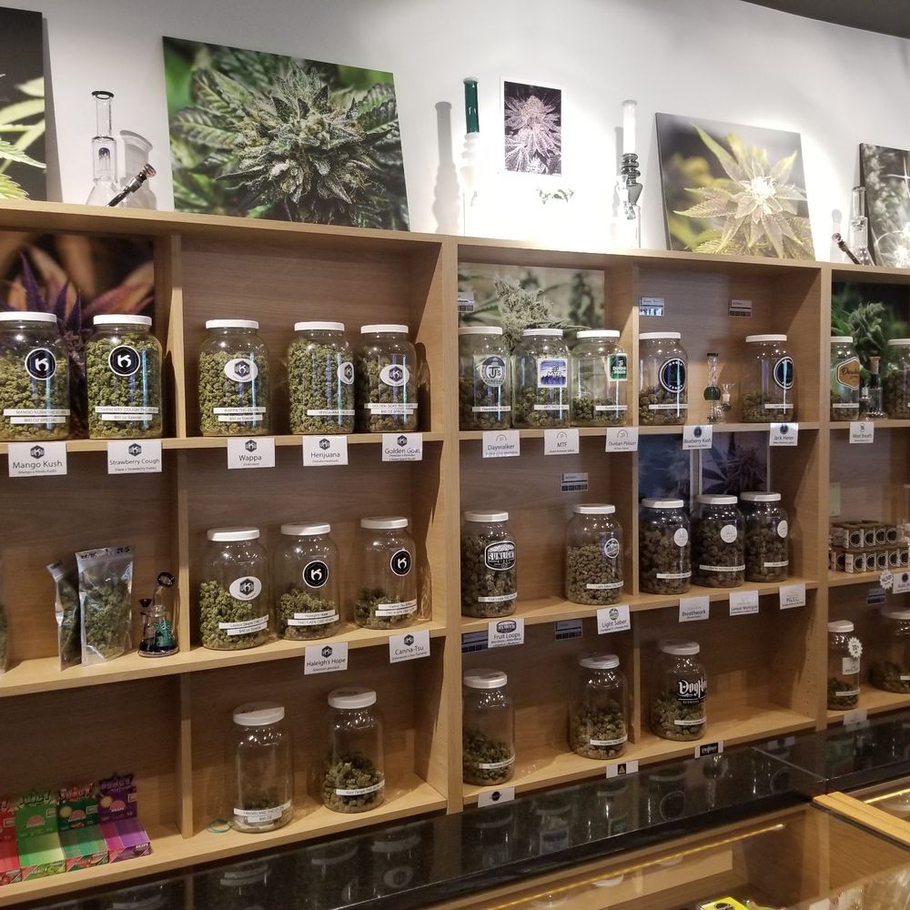 Curaleaf - Flower - Cannabis Clinics Near Me - Deerfield Beach, Florida Curaleaf - Flower - Cannabis Clinics Near Me - Deerfield Beach, Florida