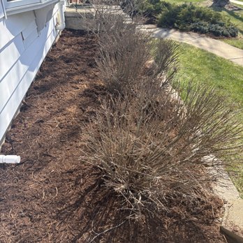 Maximum Service Lawn Care - Lawn Services Near Me - Sun Prairie, Wisconsin Maximum Service Lawn Care - Lawn Services Near Me - Sun Prairie, Wisconsin