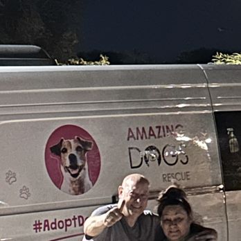 Amazing Dogs Rescue - Pet Adoption Near Me - San Diego, California Amazing Dogs Rescue - Pet Adoption Near Me - San Diego, California