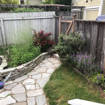 Gatica Lawn Care - Before - Tree Services Near Me Gatica Lawn Care - Before - Tree Services Near Me
