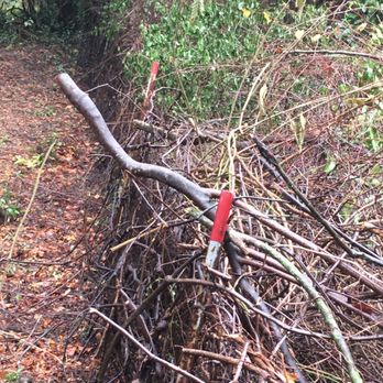 Elite Yard Services - a pile of branches and twigs - Lawn Services Near Me