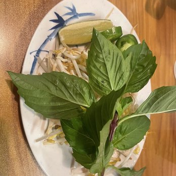 Pho Lee's - Sides for the soup - basil, bean sprouts, jalapeños and limes - Vietnamese Near Me - Cleveland, Ohio Pho Lee's - Sides for the soup - basil, bean sprouts, jalapeños and limes - Vietnamese Near Me - Cleveland, Ohio