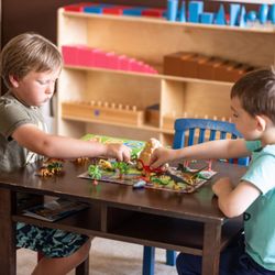 Wonderland Preschool Wonderschool