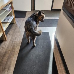 Blinds Unlimited